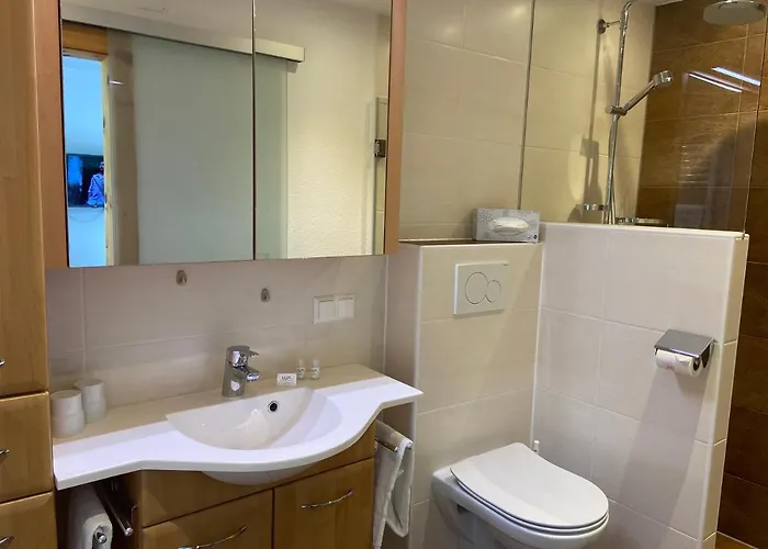 Hubner Apartment Ramsau am Dachstein